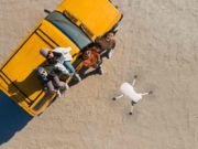 DJI Mini 2 is here – All you need to Know DJI Mini 2