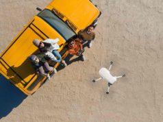 DJI Mini 2 is here – All you need to Know DJI Mini 2